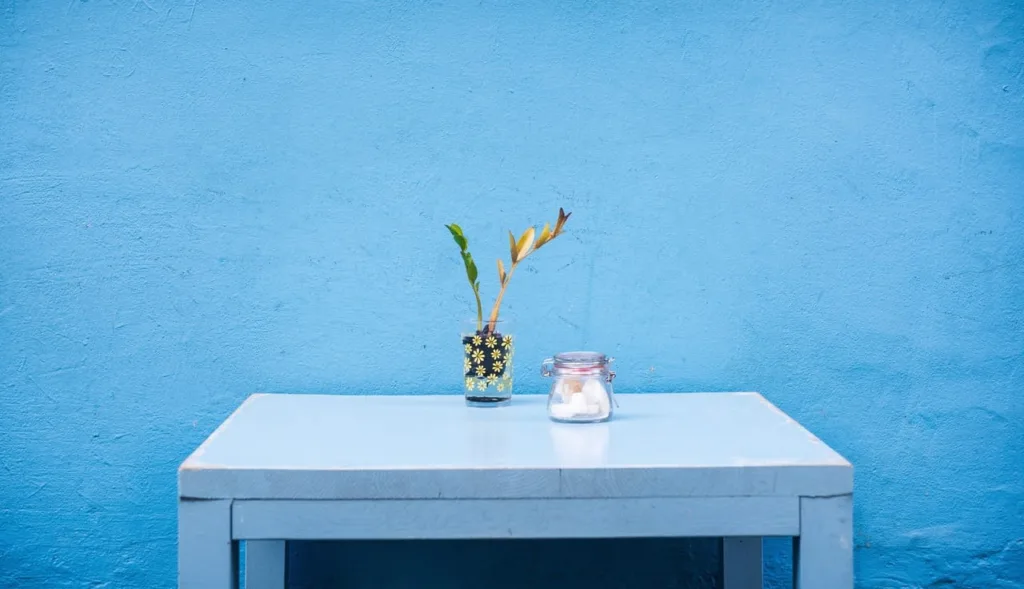 How to Care for Your Flowers and Keep Them Blooming Longer 1 table white flower interior home wall 1076294 pxhere.com
